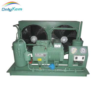 cold storage room condensing unit for fish with Bitzer compressor